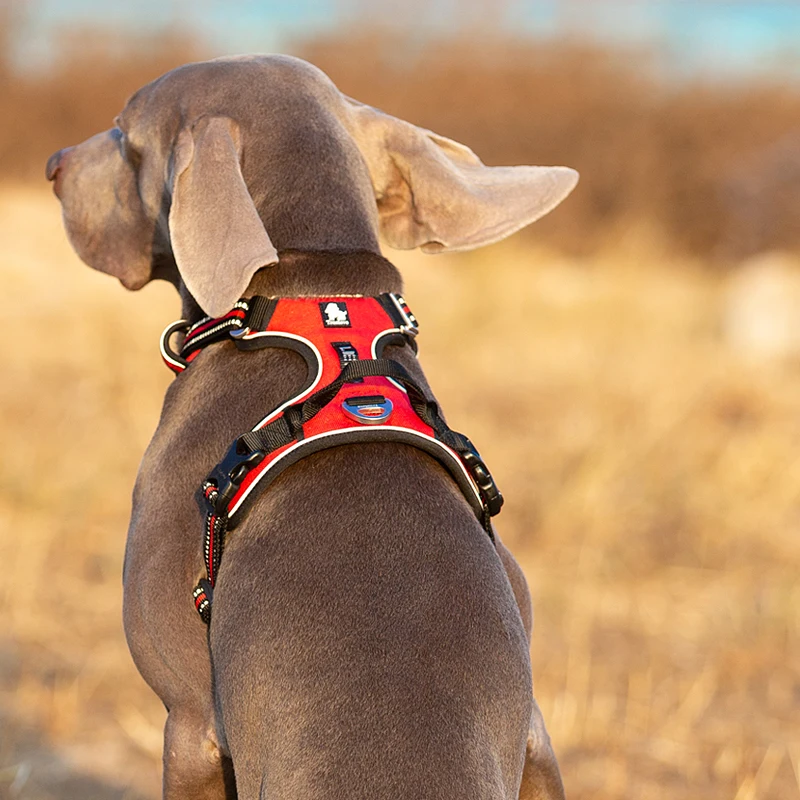 TruelGru- Chien en nylon moulé - Reflective Jacket Running avis et prix